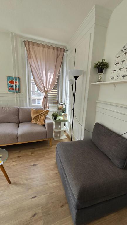 Mi Casa es su Casa - Resim 19