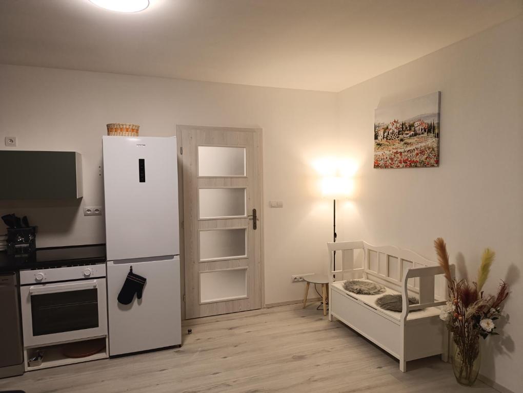 Kuchyň nebo kuchyňský kout v ubytování apartmán Fénix