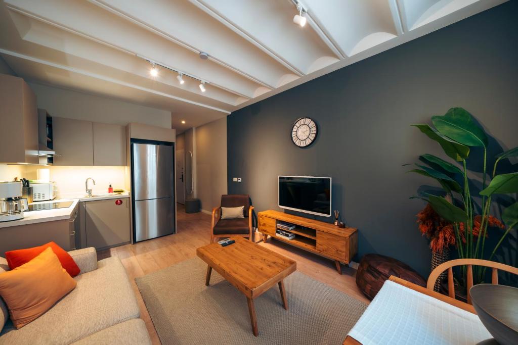 TV a/nebo společenská místnost v ubytování Kuledibi Suites, Historical 1-bedroom apartment No-6