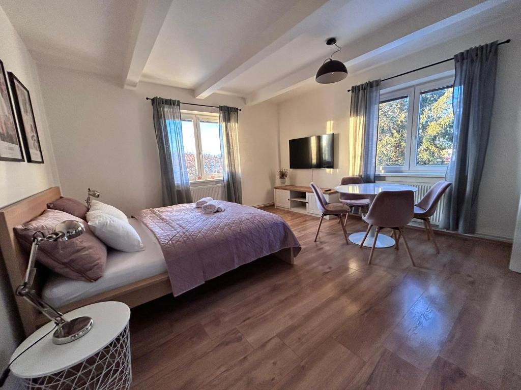 TV a/nebo společenská místnost v ubytování DORMIDARE Apartments Mladá Boleslav