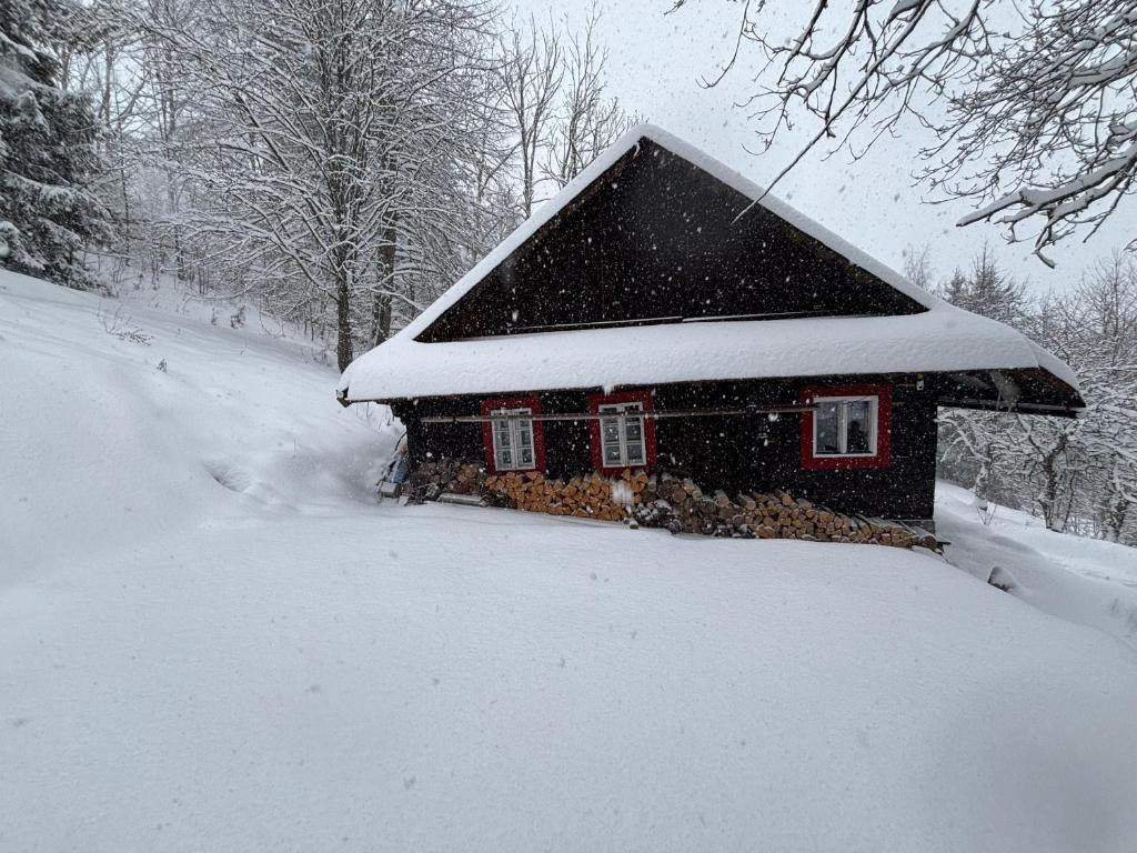 a house with a snow covered roof in the snow at Na samotě u lesa in Vsetín