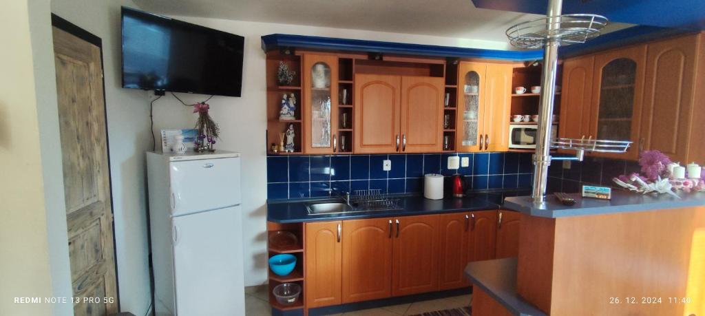 Kuchyň nebo kuchyňský kout v ubytování Guest House Zuzana