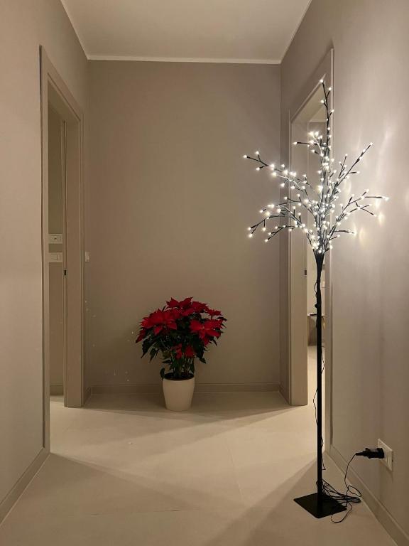 Fotografie z fotogalerie ubytování B&B Il Rifugio Urbano v destinaci Pescara