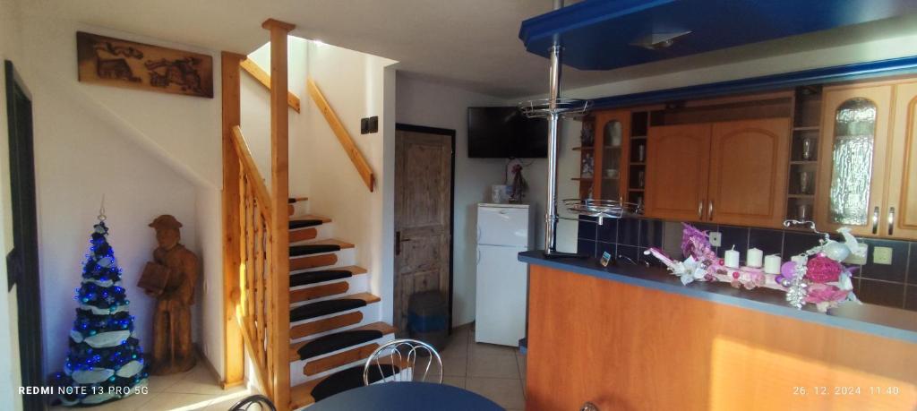 Kuchyň nebo kuchyňský kout v ubytování Guest House Zuzana