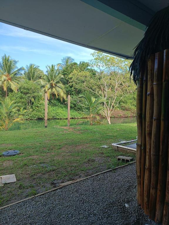 Um jardim no exterior de Casa Laguna