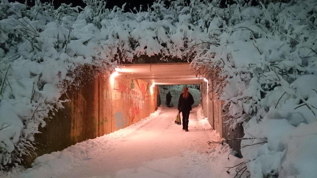 コトカにあるApartment Haltijantieの雪のトンネルを歩く者