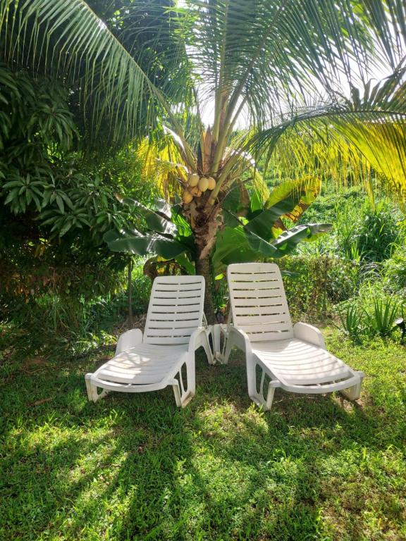 Zahrada ubytování villa Kanel