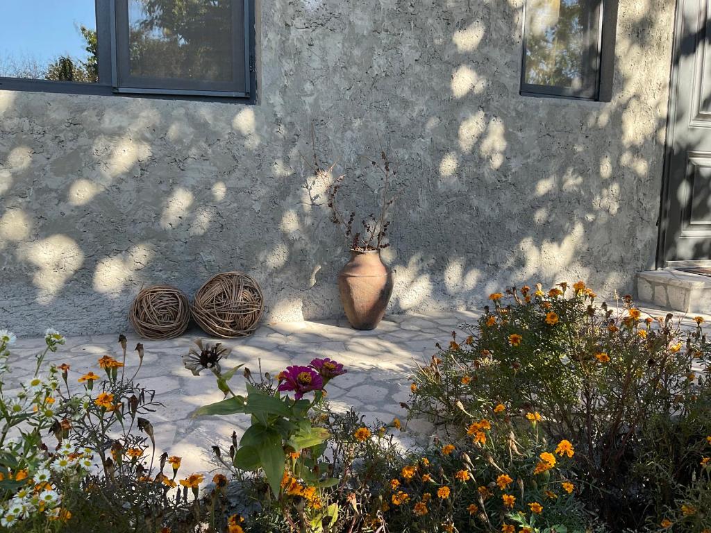 Zahrada ubytování Art Rooms Garni B&B