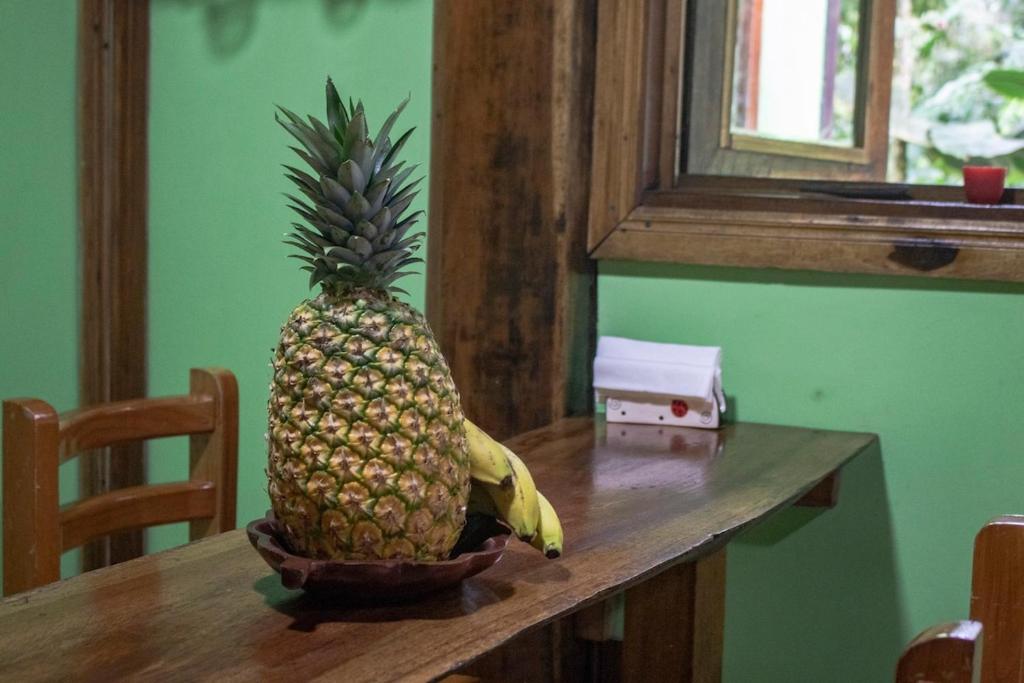 Fotografie z fotogalerie ubytování Casa Los Delfines v destinaci Tortuguero