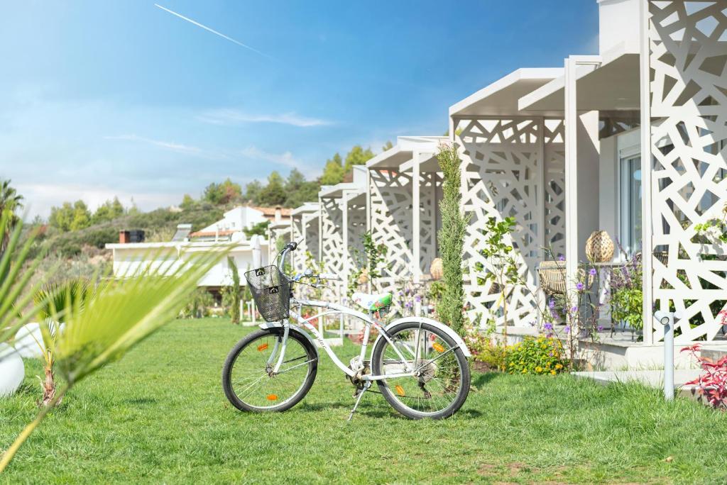Jízda na kole v ubytování Amadeus Golden Resort nebo okolí