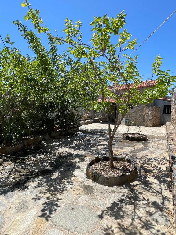 Zahrada ubytování GuesthouseKamara