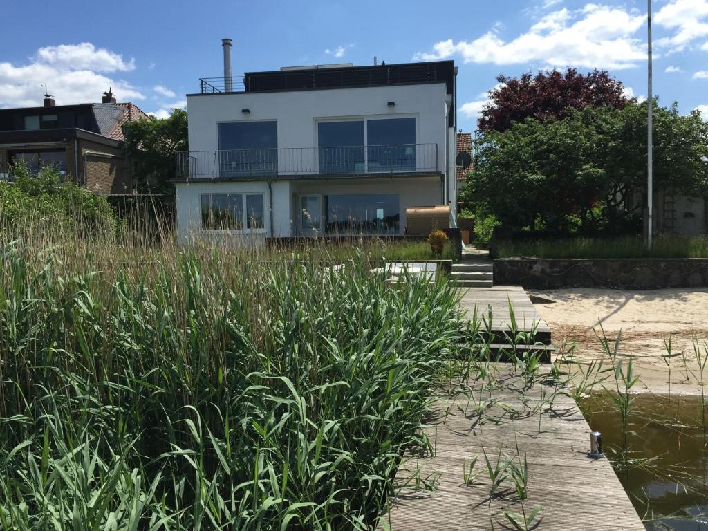 a house on the beach with tall grass at Fjordhaus Schleiwind in Fahrdorf