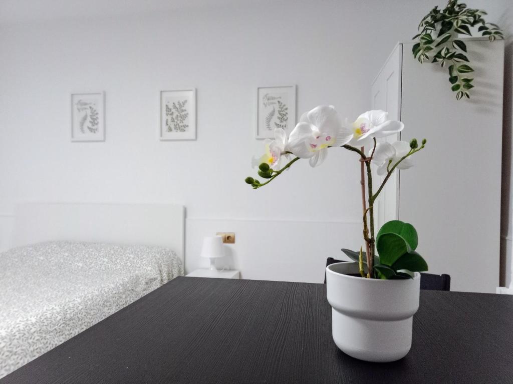 Hermoso Estudio Centro de Malaga