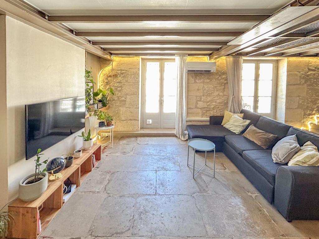 un salon avec un canapé et une télévision dans l'établissement Parc Clemenceau - centre historique, à Montpellier