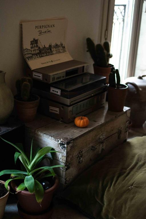 une pièce avec une pile de caisses et de plantes en pot dans l'établissement O Saudade - Centre Perpignan, à Perpignan