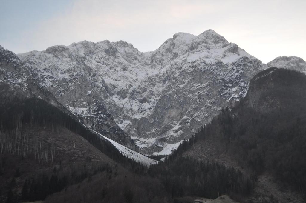 Mountain Getaway Panoramic View في جرومو: سلسلة جبلية مغطاة بالثلوج مع الأشجار في المقدمة