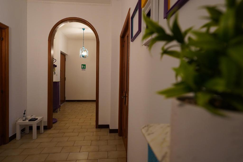 Abate Gimma Apartment 10 minutes from St Nicholas Cathedral - 18