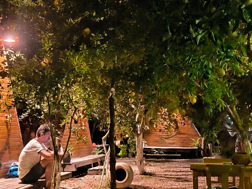 a man sitting on a park bench under a tree at Litost Cafe in Adrasan
