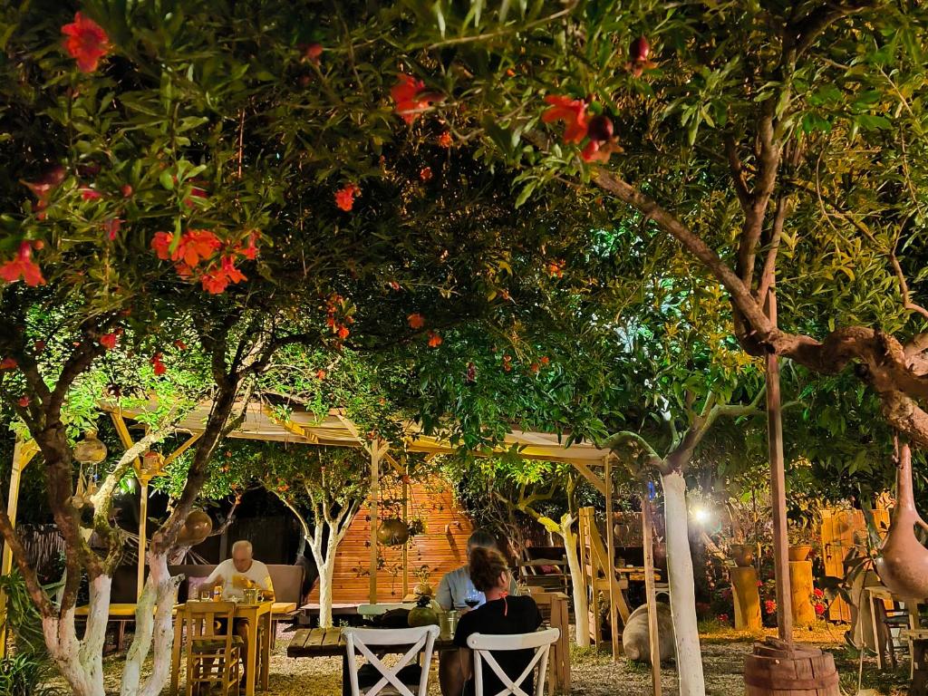 a group of people sitting at tables under trees at Litost Cafe in Adrasan