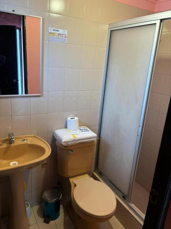 Koupelna v ubytování Hospedajes Millaray