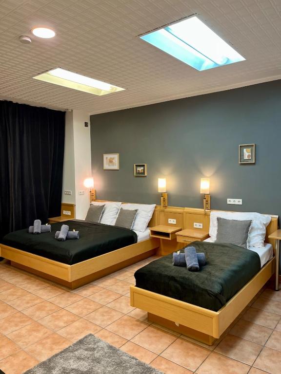 Spacious Apartment in Vienna Center