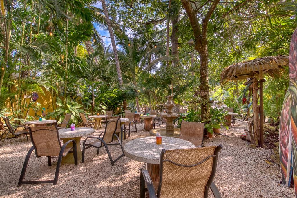 Zahrada ubytování El Sano Banano Beachside Hotel