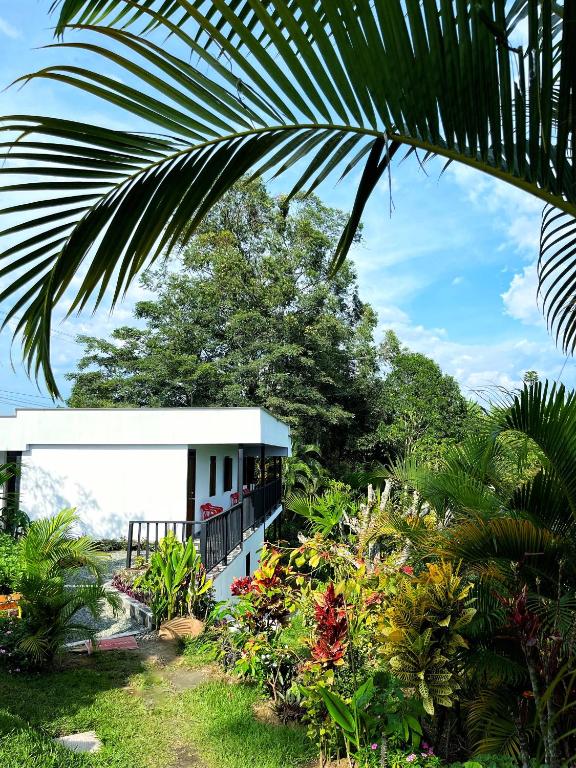 a house with a lot of plants and trees at Finca El Bazar in Montenegro