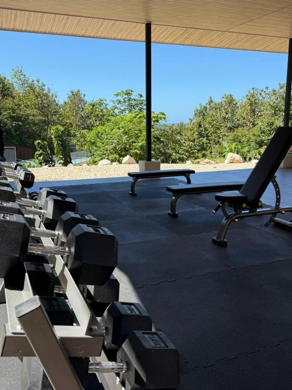 Fitness centrum a/nebo fitness zařízení v ubytování Garden Suite at Solindo Stays