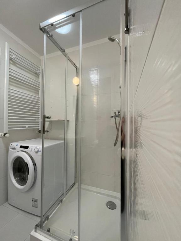a shower with a washing machine in a bathroom at Peppers Studio in Bucharest