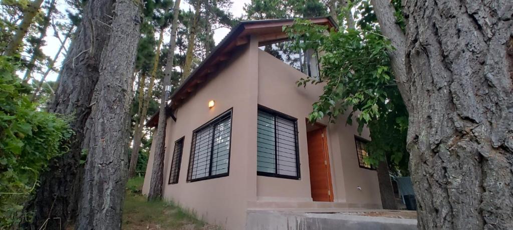 a white house with windows and a tree at Alto del pinar in Mar Azul