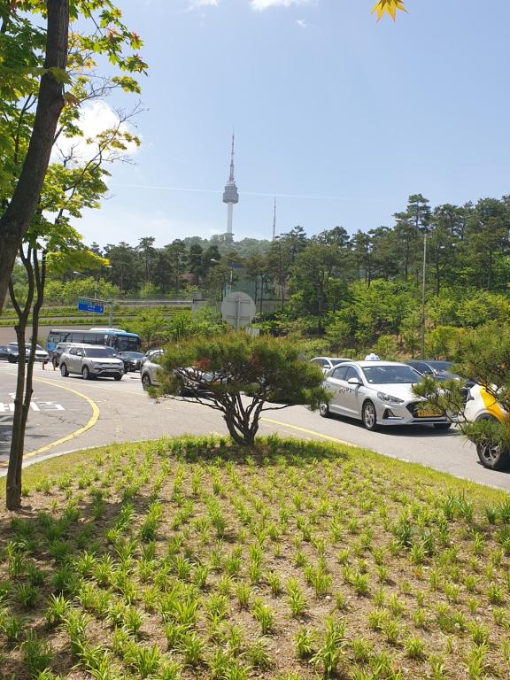 Příroda nedaleko prázdninového domu