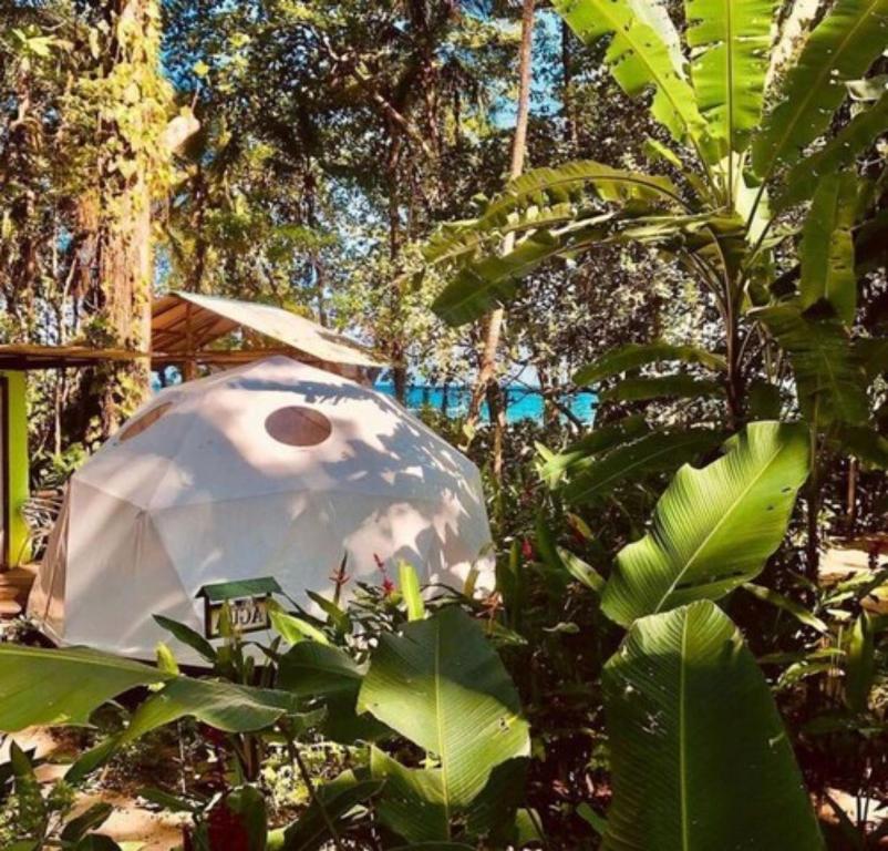 Hotel Faith Glamping Dome Costa Rica - Tienda Estándar