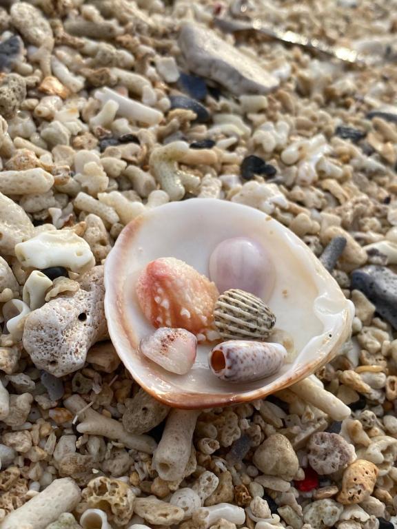 Fotografie z fotogalerie ubytování Sunmoon Beach Resort Likupang Timur v destinaci Pulau Mogogimbun