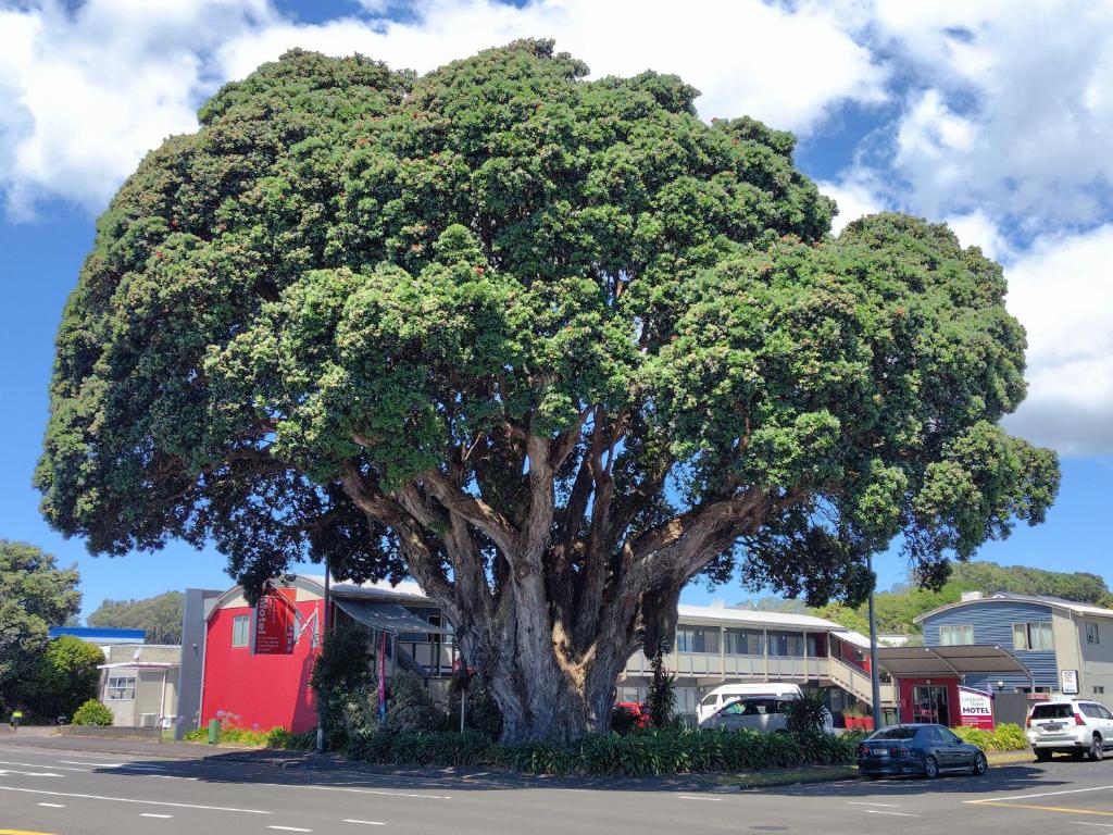 Landmark Manor - Resim 10