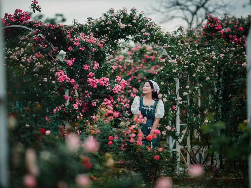 Un jardín fuera de Guilin Red Roof Garden Resort --Within 8000 square meter lush garden- Fluent English-Southeast Asian style decoration-Quiet and delightful