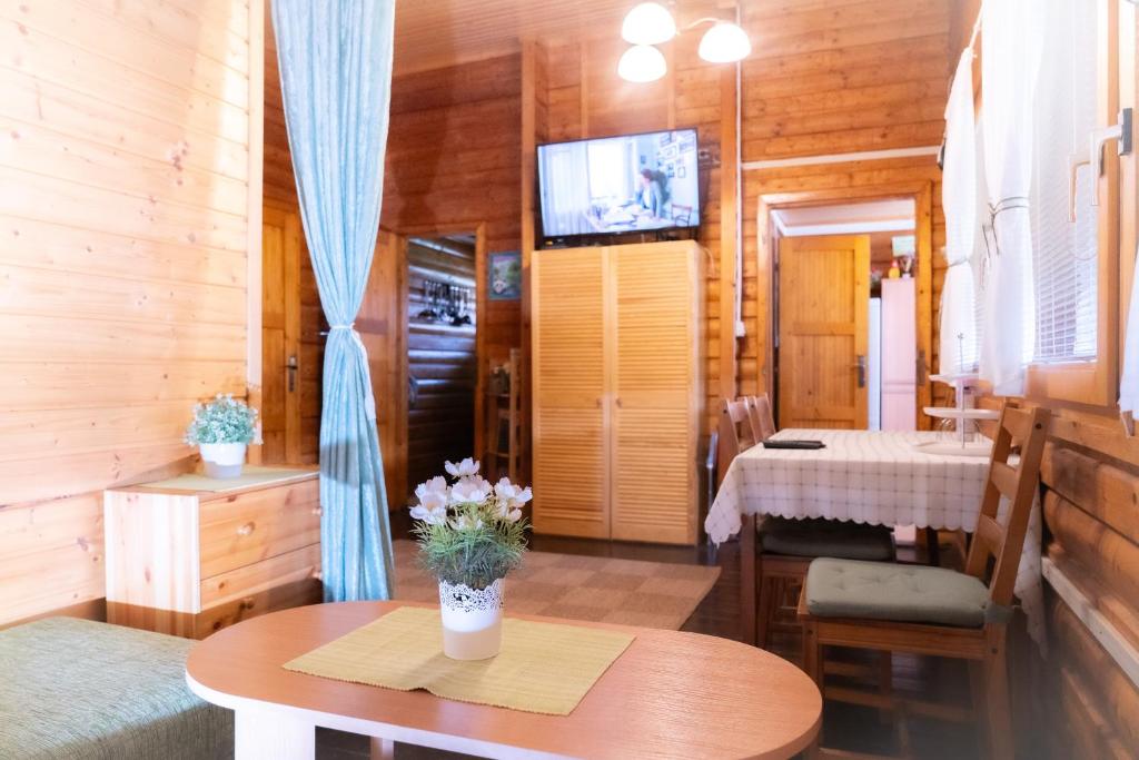 TV a/nebo společenská místnost v ubytování Vadaš Relax house