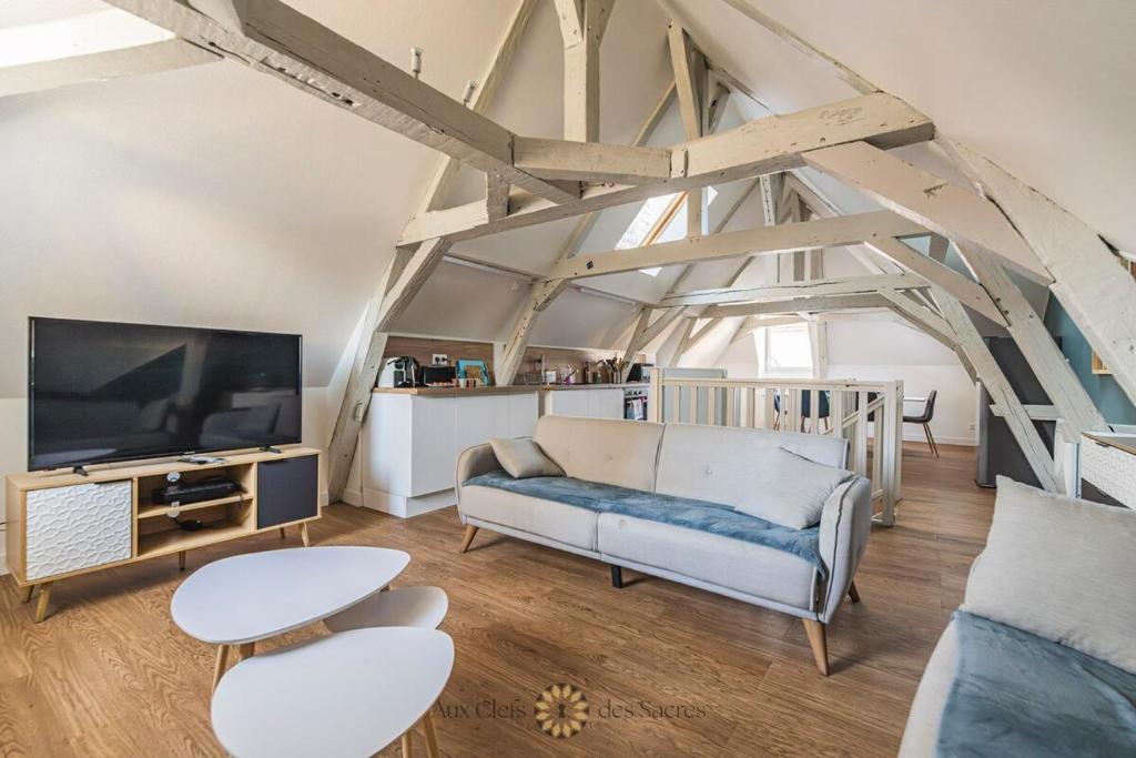 un salon avec un canapé et une télévision dans l'établissement 3 Chambres quartier cathedrale, à Reims