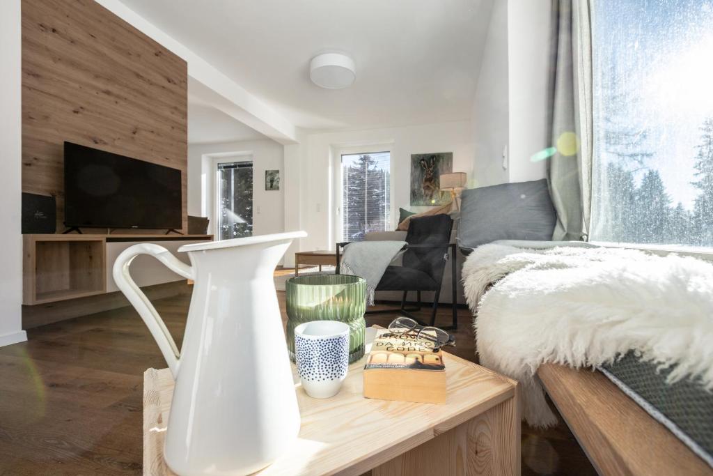 TV a/nebo společenská místnost v ubytování Arton Lachtal - Apartments Steiermark