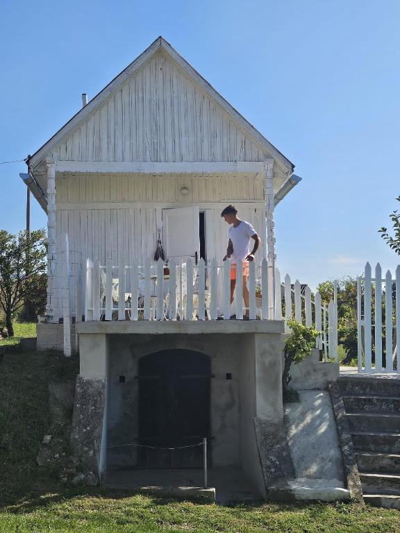 Hosté ubytování Alpaka Bakonya Faház