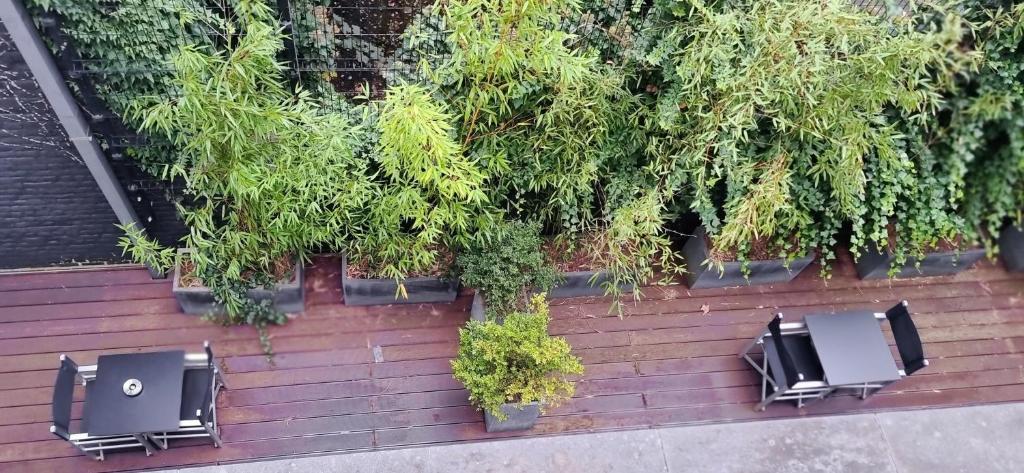 YOOMA Urban Lodge - Resim 12