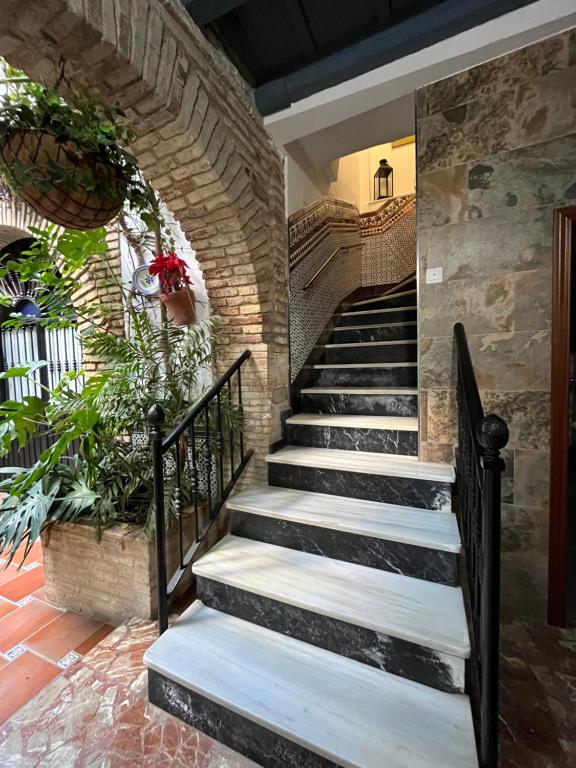 Fotografie z fotogalerie ubytování Pensión Los Arcos v destinaci Córdoba