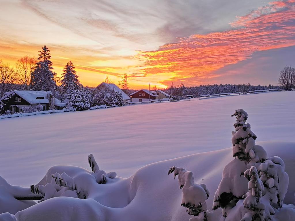 Landpension Pferdekoppel - B&B - Self Checkin v zimě