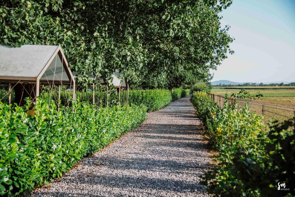 Zahrada ubytování BIG BERRY Kolpa - Isabella Premium House
