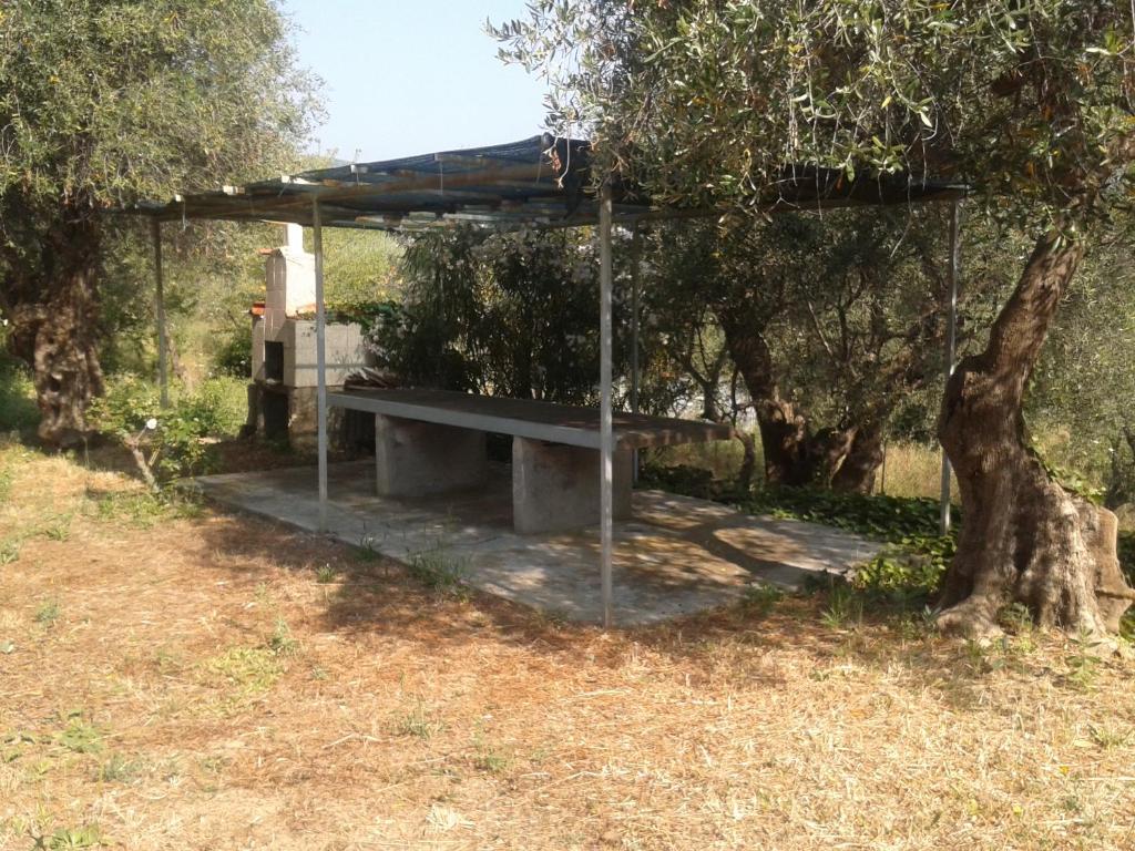 a bench sitting under a tree in a field at Cottage VIVI tra mare e ulivi in Diano Marina