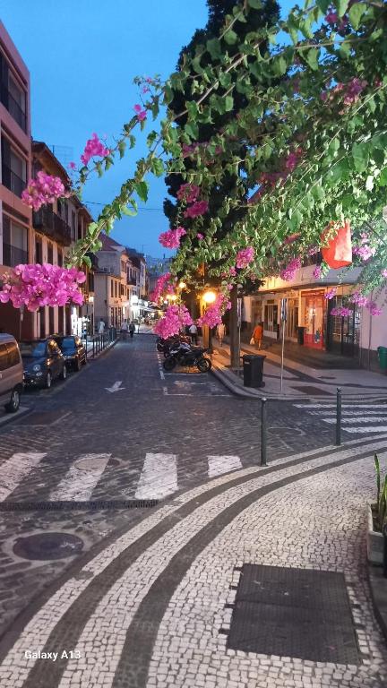 Alojamento Local Trigal - 6