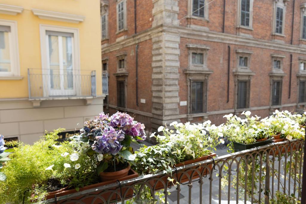 Zahrada ubytování Suite Brera