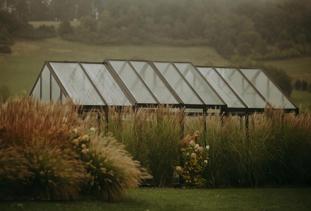 Bieszczadzka Stodoła - 17