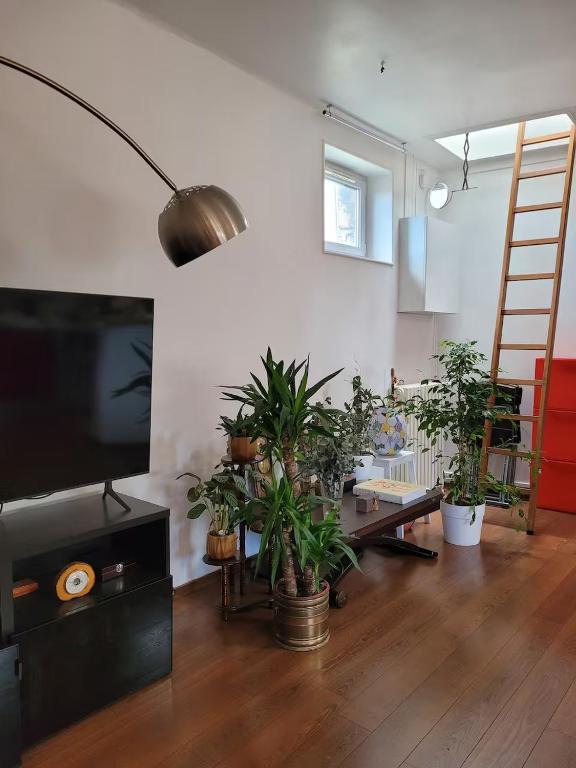 - un salon avec un bouquet de plantes en pot dans l'établissement Loft très calme tout confort proche Parc des Expos de Versailles vue Tour Eiffel, à Paris