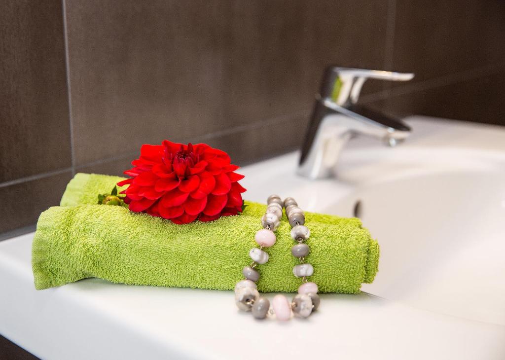 Hotel am Müritz-Nationalpark - 6