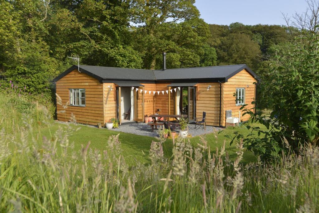 eine Holzhütte auf einem Feld mit einem Hof in der Unterkunft Sweet Pea Cottage, Amroth in Amroth
